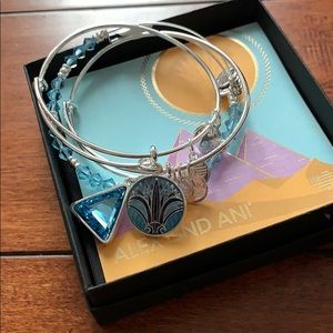 BRAND NEW EXCLUSIVE ALEX AND ANI SET